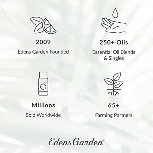 Edens Garden Top Essential Oil 3 Set, cel mai bun kit de introducere a aromaterapiei pure , 10 ml