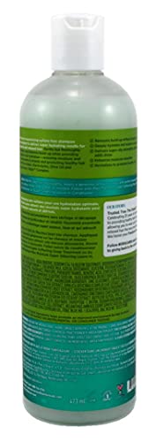 Șampon de ulei de măsline Super hidratant fără sulfat de 16 uncii