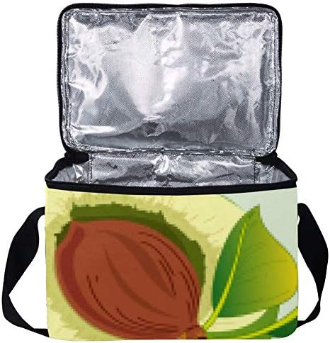 Cutie de prânz rezistentă la scurgeri, cutie Bento izolată pentru bărbați, femei adulte, găleată de prânz reutilizabilă cu