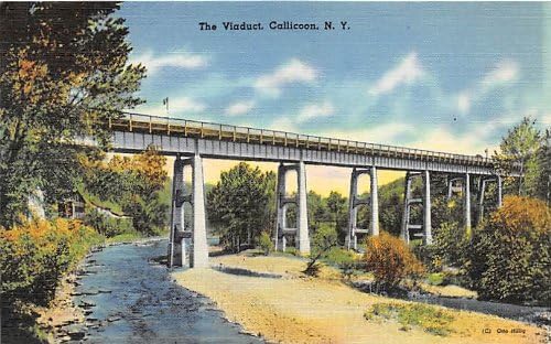 Callicoon, New York Postcard