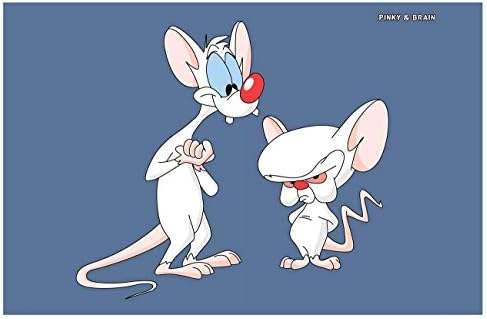 Pinky and the Brain Cartoon Series 11 x17 inch mini poster SM