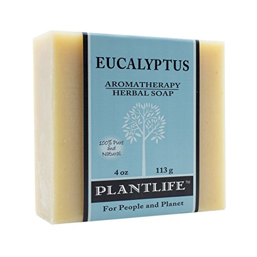 Plantlife Eucalyptus 6-pack bar Soap-săpun hidratant și liniștitor pentru pielea ta-artizanale folosind ingrediente pe bază