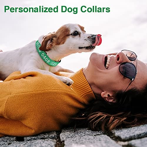 Guler de câini din nailon personalizat Shineao: nume de companie brodat personalizat și număr de telefon - guler de câine reglabil