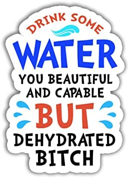 3 buc-bea puțină apă Tu frumos și capabil, dar deshidratat cățea autocolant bea ceva apă autocolant pentru Waterbottles laptop-uri