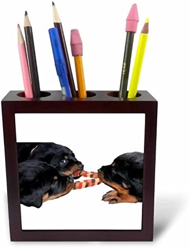 3drose trei pui Rottweiler joc Tug Vector Art-Tile Pen titularii