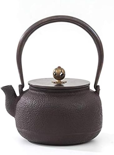 Simplitate creativă japoneză TETSUBIN TETSUBIN TEAPOT CEAPOT TETSUBIN Ceai de ceai Shouzhuo Qingshi 1L Teapot de fier cu infuzer
