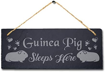 Guinea Pig Sleep aici laser gravat cu ardezie cu ardezie cote cote porcstele de placă