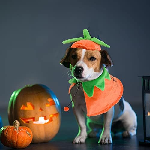 Adoggygo Halloween pentru câine Costume pentru pisici pentru câine de Halloween Pumpkin Hat Set Pet PET Halloween Costume pentru