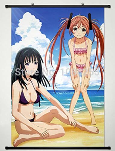 Cartoon World Home Decor Anime Black Bullet Wall Scroll Poster Kisara Tendo & Aihara Enjyu