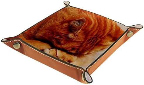 Tavă de valet din piele, somn animal de pisică tristă, cutii de depozitare Cube Desktop Depozitare Organizator pentru portofele