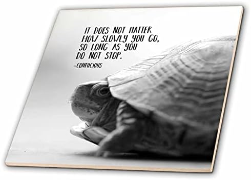 3drose fotografie macro alb-negru a unei broaște țestoase cu un citat din Confucius. - Gresie