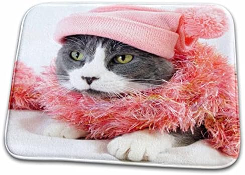 3drose pisica amuzant cu haine roz Cool pisoi animal de companie-antena de uscare Mats